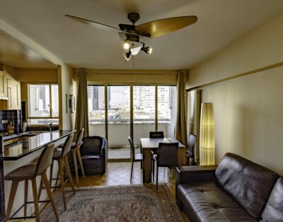 Appartement avec balcon, 1 chambre, au coeur du quartier Saint Charles dans le 15e