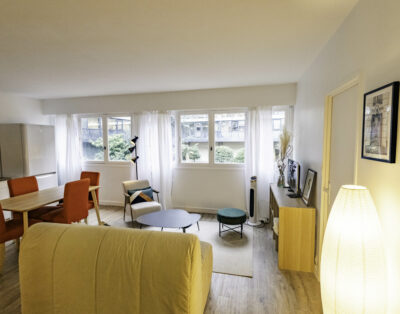 Quiet apartment in the 15th arrondissement
